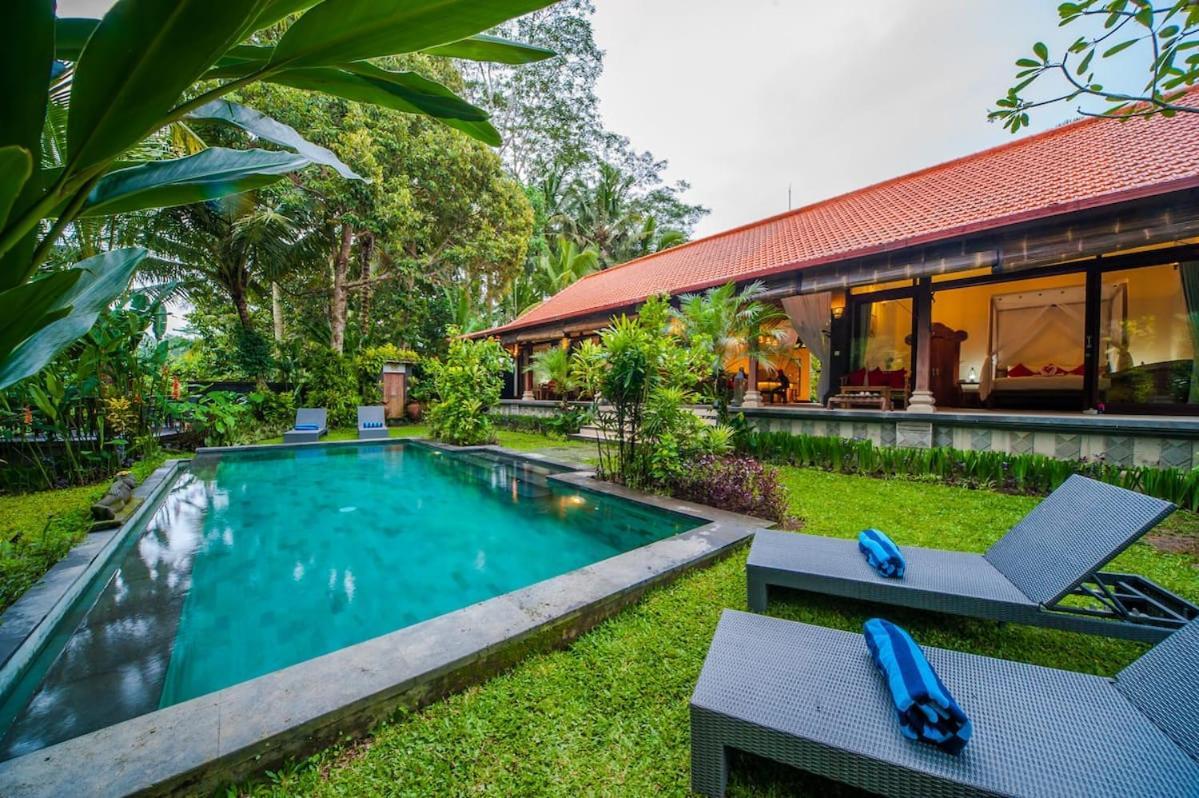 Luxury 3Br Infinity Jungle View Aashaya Villa Ubud Zewnętrze zdjęcie