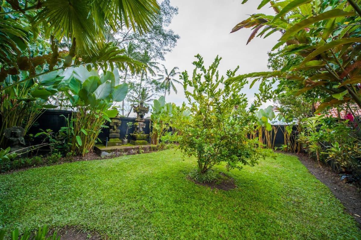 Luxury 3Br Infinity Jungle View Aashaya Villa Ubud Zewnętrze zdjęcie
