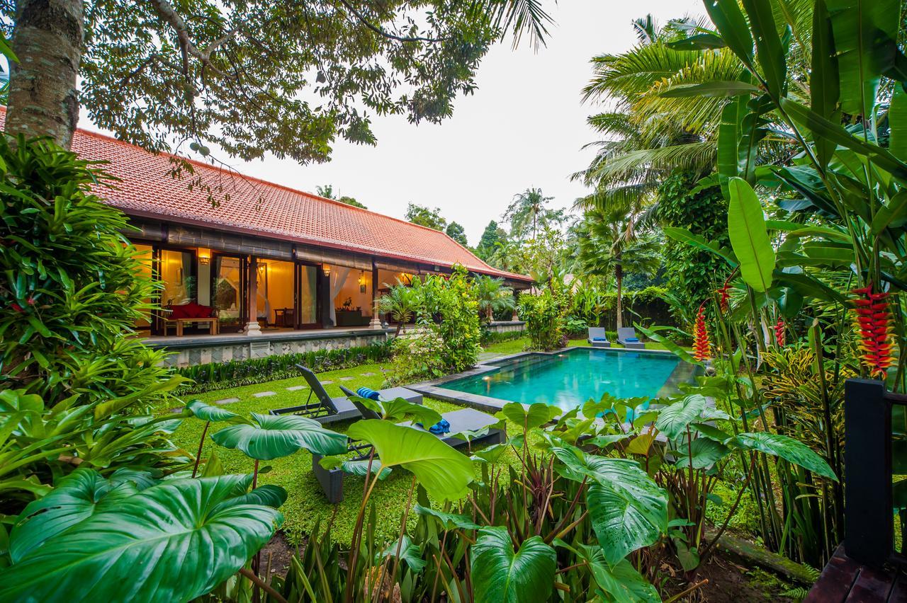 Luxury 3Br Infinity Jungle View Aashaya Villa Ubud Zewnętrze zdjęcie