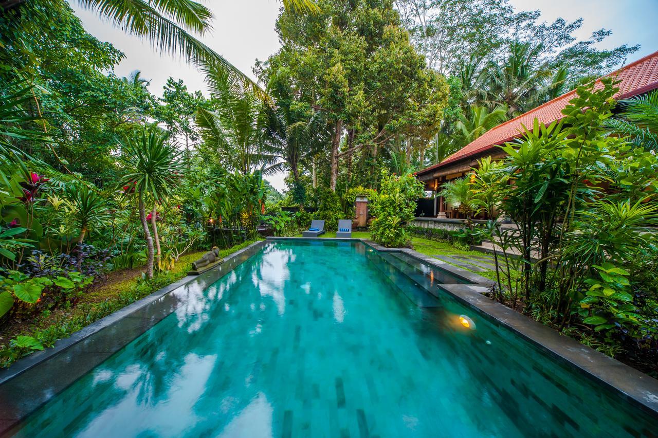 Luxury 3Br Infinity Jungle View Aashaya Villa Ubud Zewnętrze zdjęcie